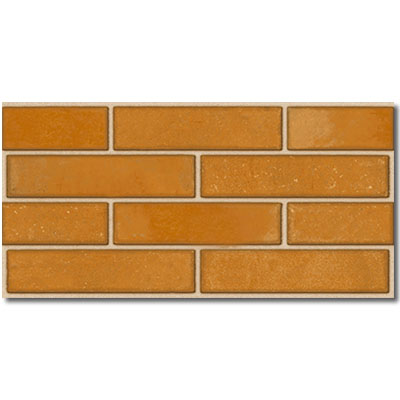 Habitat Terra Cotta 25x50